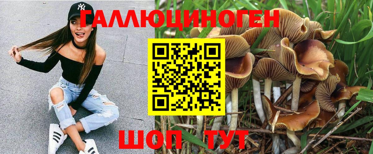 Псилоцибиновые грибы Psilocybine cubensis  Вход с VPN  Рассказово 