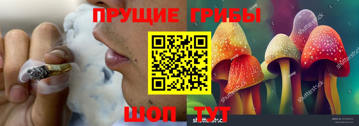Галлюциногенные грибы мицелий Рассказово